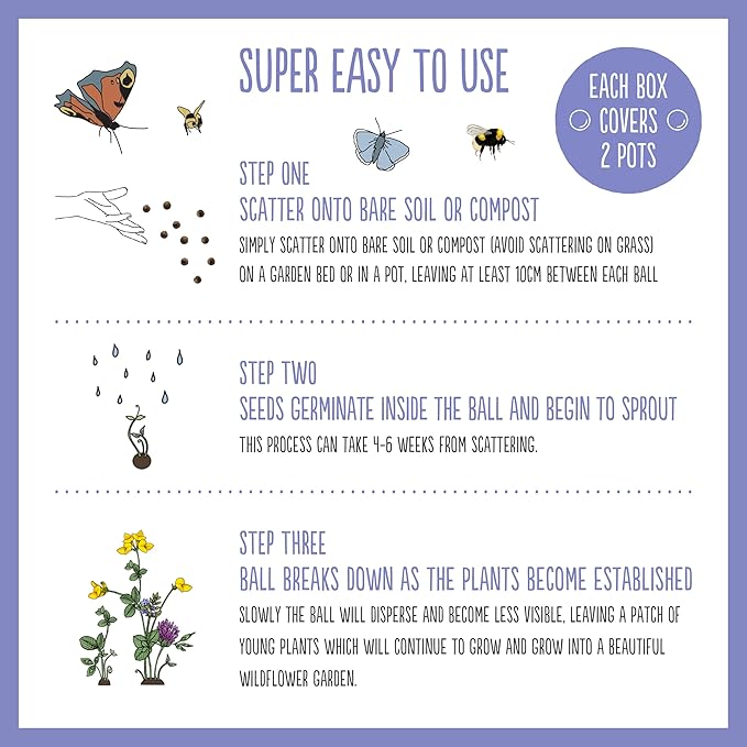 Seedboms - Wildflower Seed Boxes (6 Ball)